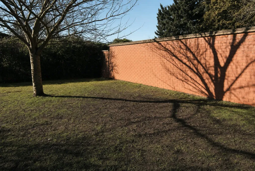 Un árbol caduco sin hojas proyectando su sombra de ramas sobre una medianera de ladrillo y sobre el pasto